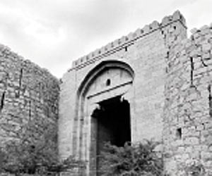 The valiant warriors of Surpur