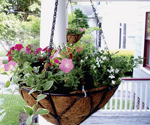 Steps to develop hanging gardens