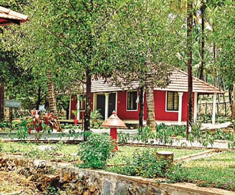 Retreat to nature’s womb