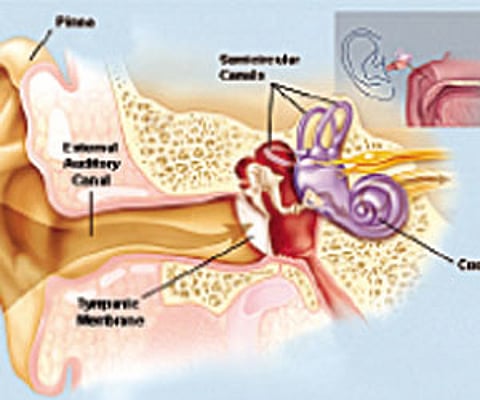 Don’t use cotton to clean ears: Doctors