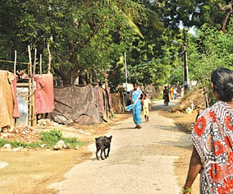 A lane in the village | Express Photo