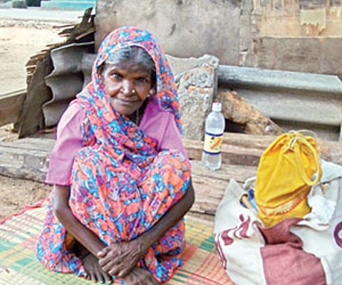 Mama Poc and the Giant Grebe