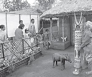 (Express News Photo)