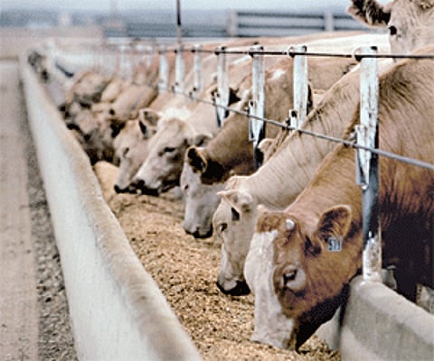 Picture for representative purpose only