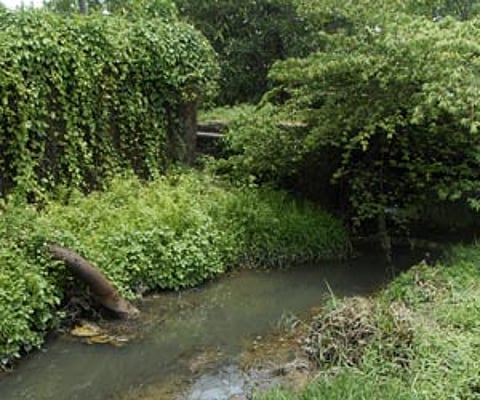 The outlet pipe through which the company discharges the effluent in the lagoon at Eloor | P K Jeevan Jose