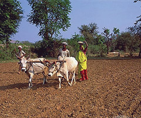 Farmers in the area allege their land is being sold to private firms using fake registries.