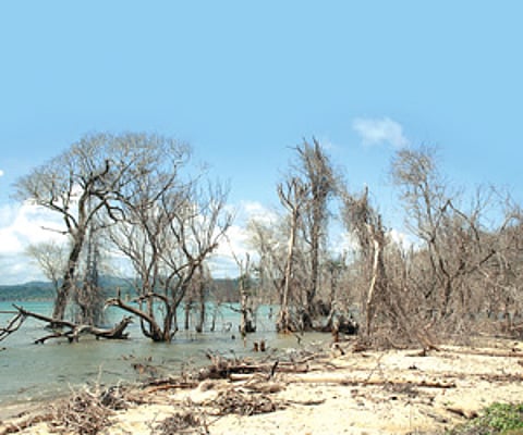 Upheaval of the natural world