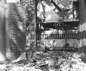 Melodies in Kalyani Nair