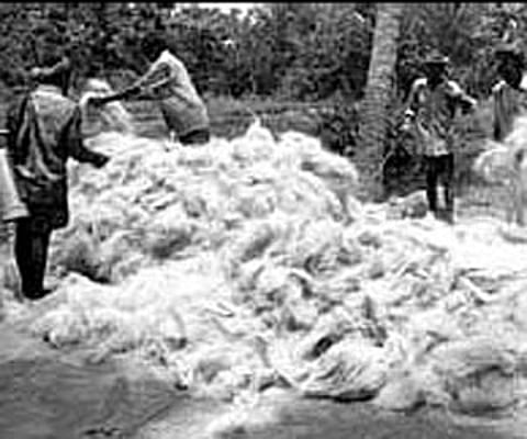 Coir Board hopeful of raising geotextile exports