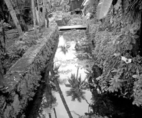 Buckingham Canal’s rich past becoming history