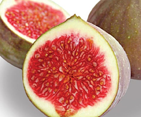 Health benefits from figs
