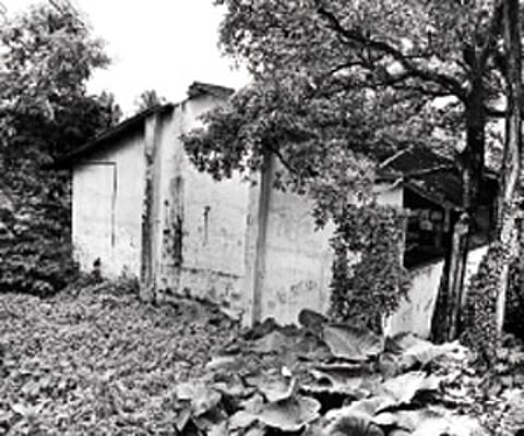 The abandoned state government property at Moulana Azad Road, Mattanchery