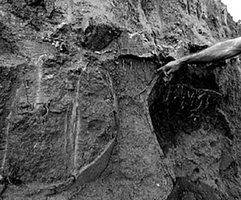 BROKEN HISTORY: The remnants of an urn (L) after the megalithic burial site (R) was tilled and the place dug up to mine clay.