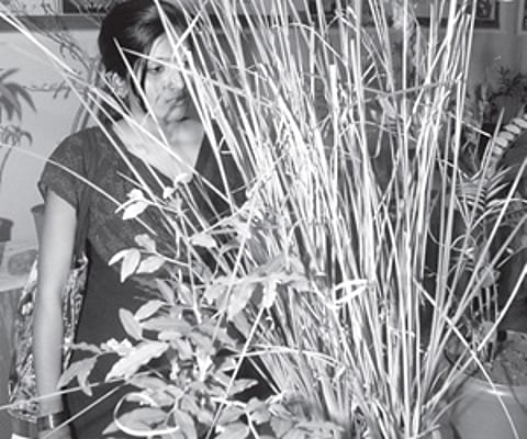 Ayurvedic medecine fair in city