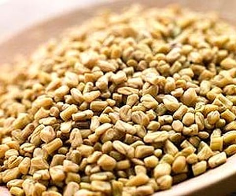 Fenugreek seeds.