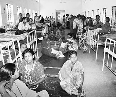 This century-old bullock cart fetched Rs 2 lakh