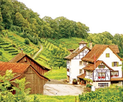 Romance Of the Rhine