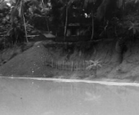 A view of the Karamana river at Thrikkannapuram.