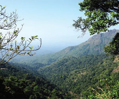 Trek, tread or simply watch, the scenic hills of Ponmudi will leave you refreshed.