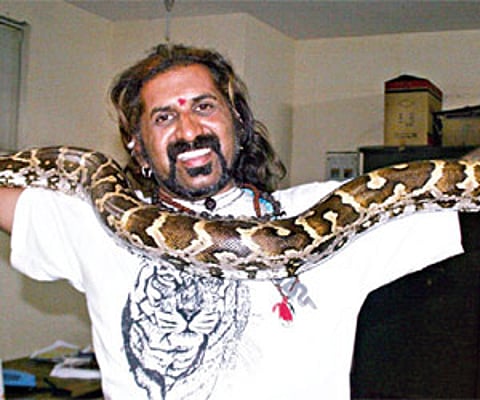 Snake Sham with python caught behind Infosys campus