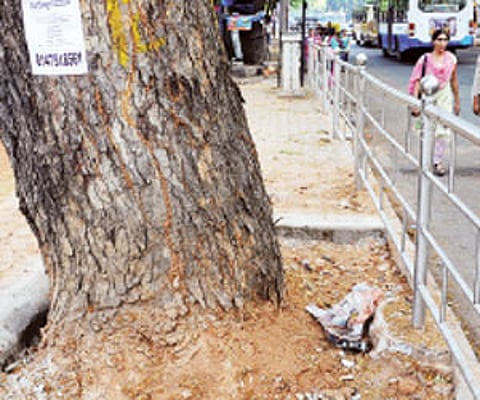 The Silver Screen Jinx