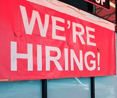 As per the norms, the recruited drivers will be employed for 11 months, and their contract will be renewed once for another 11 months.