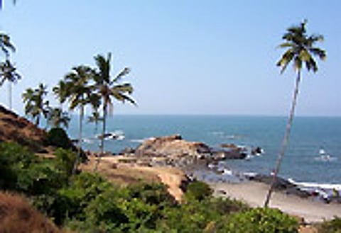 Goa beaches turn black