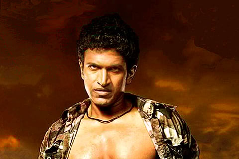 Sandalwood progress report of first half of 2012