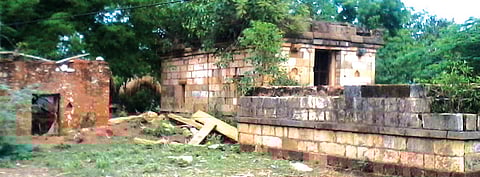 Make the museum their home