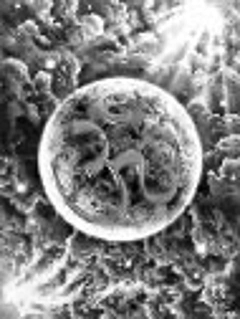 Sleeping peacefully in ‘haunted’ house