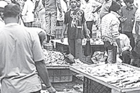 When it stinks and how!