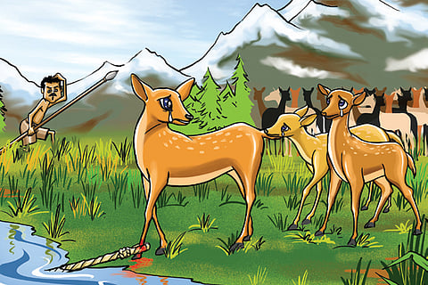 Rohanta the deer king