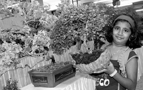 Big efforts small results