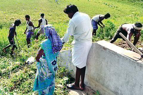 Work to clean up ancient temple tank launched