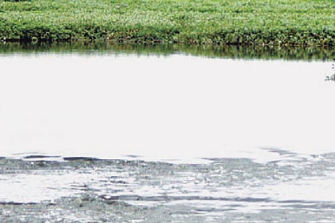 Death of Mathikere lake