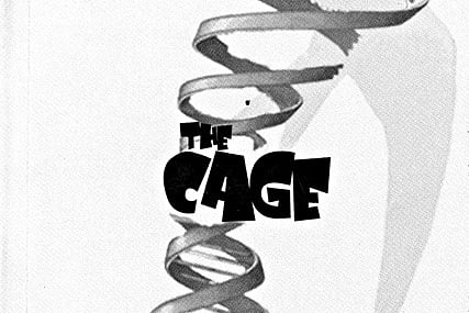 In a cage of thoughts