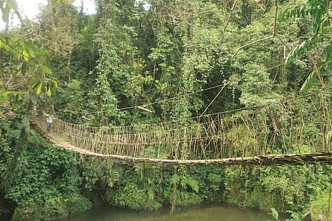 Encounters at Pakke Kesang - Land of the Nyishis