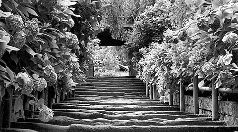 The secret of life is living in the present