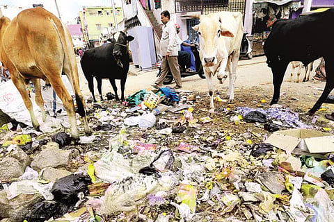 BBMP limps as 'city is free of dustbins'