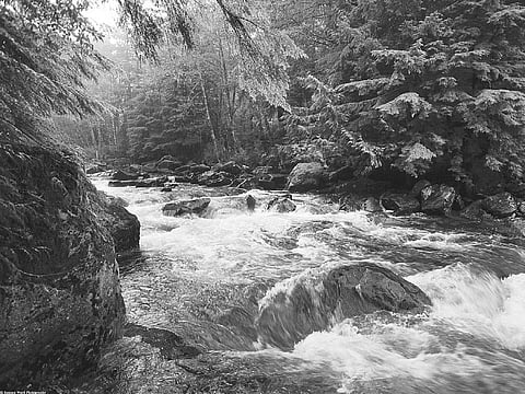 Do you know what love is?