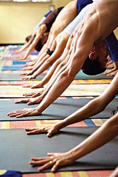 The deadly fitness solution