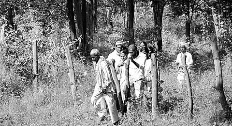 Forest Department puts fence around village, locals left in the lurch