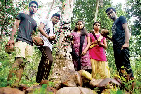 In the company of crow scouts
