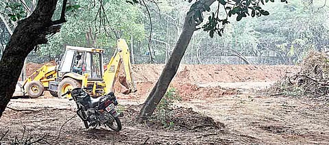 Vegetation cleared to pave way for percolation pond at Guindy National Park