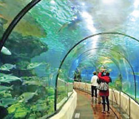 Game zone at Lumbini park