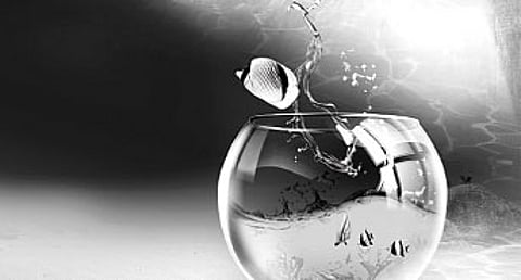 Understanding the soul through Karma, Gnana and Ananda