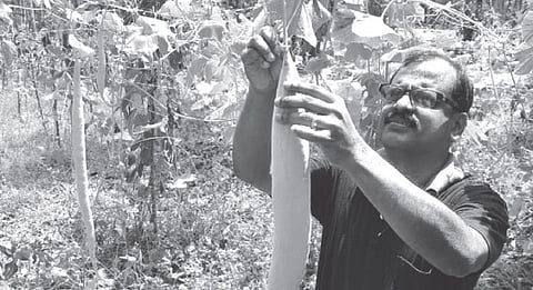 This is How a Doctor Should be