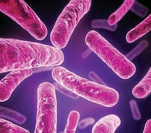 Autoimmunity: Activating Self Destruct Mode