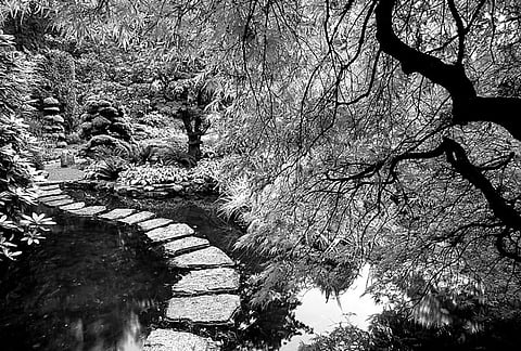 The Unmanifested And The Manifested