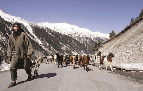 Bakarwals: The Army's Weathermen